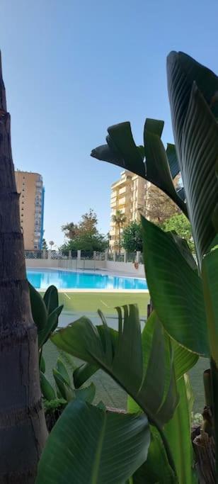 Elegante Alojamiento Con Piscina A 200 M Del Mar. Leilighet Benalmádena Eksteriør bilde